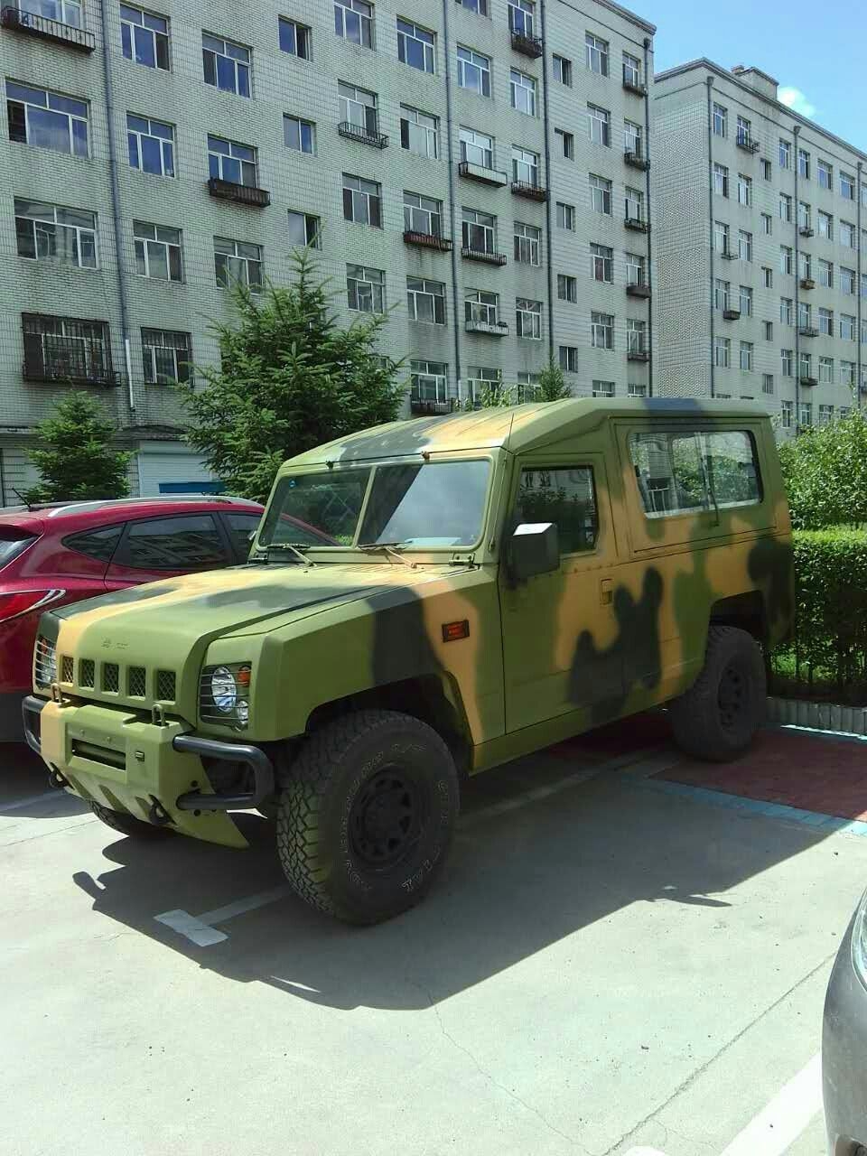 中船軍工林地北方型迷彩