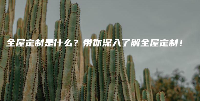 全屋定制是什么？帶你深入了解全屋定制！