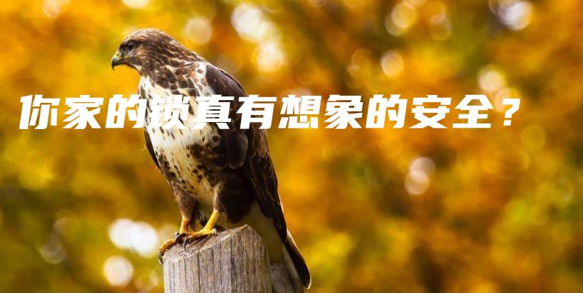 你家的鎖真有想象的安全？